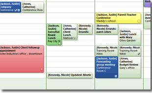 OfficeCalendar's group calendar view in Outlook